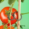 Nature Tomatenplantring d65mm
