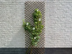 Nature Wilgenklimrek 30x180 cm