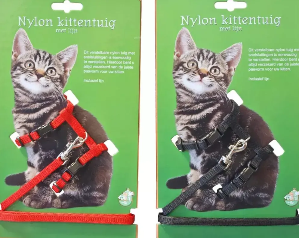 Nylon kittentuig met lijn, rood