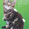 Nylon kittentuig met lijn, zwart