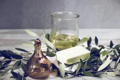 Olea europaea (Olijf)
