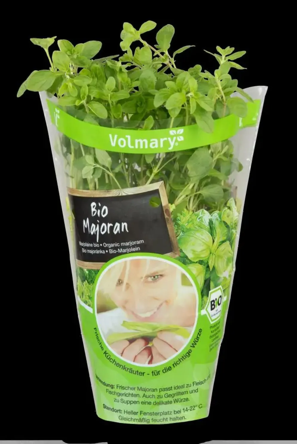 Origanum majorana (Echte marjolein)