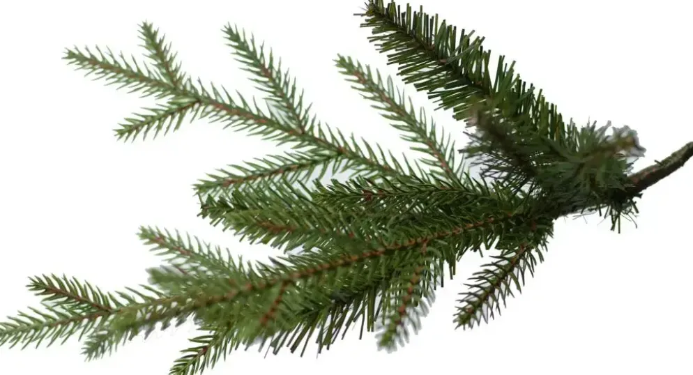 Our Nordic Christmas Arkansas kunstkerstboom houten voet groen 213cm