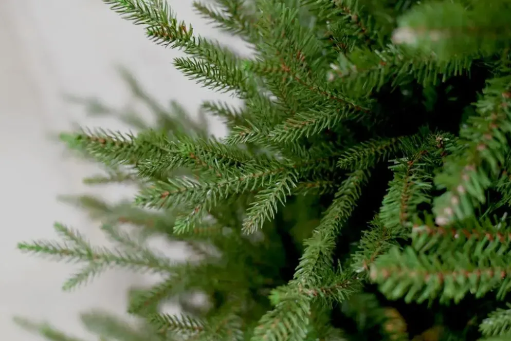Our Nordic Christmas Arkansas grote kunstkerstboom houten voet groen 274cm