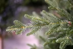 Our Nordic Christmas Arkansas Deluxe kunstkerstboom houten voet groen 213cm