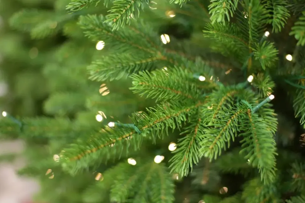 Our Nordic Christmas Helsinki kunstkerstboom met houten voet 228 cm