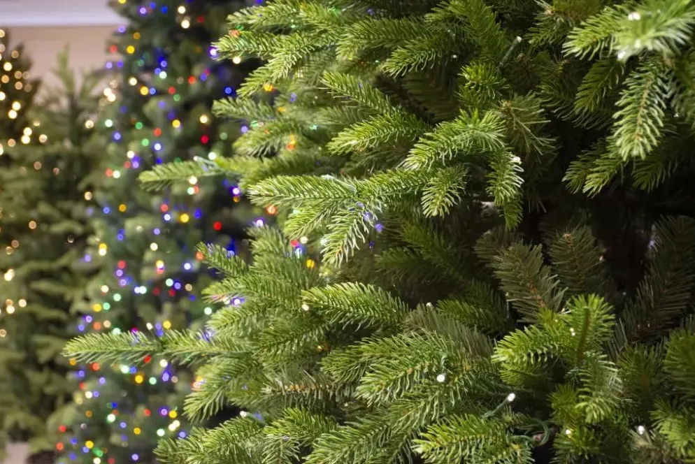 Our Nordic Christmas Helsinki kunstkerstboom 213cm