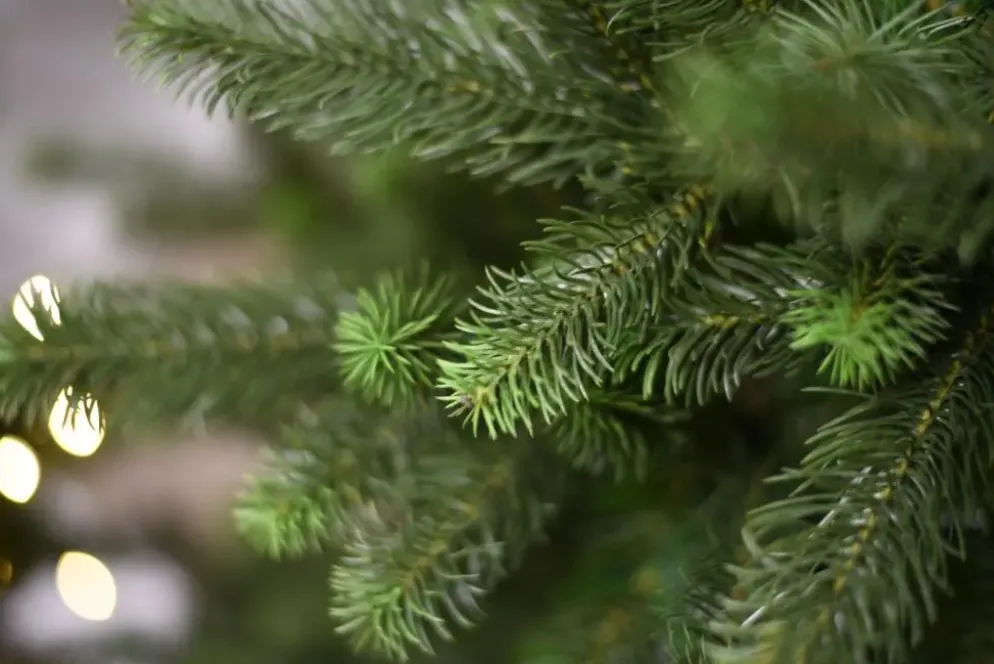 Our Nordic Christmas Kentucky Deluxe kunstkerstboom groen 213cm