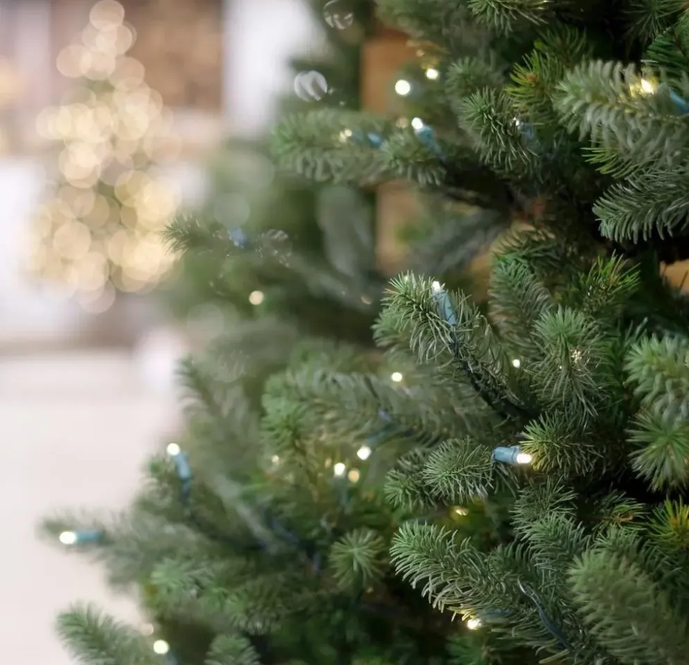 Our Nordic Christmas Kentucky Deluxe grote kunstkerstboom groen 243cm, 1050 lampjes