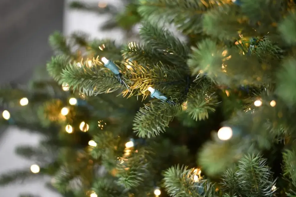 Our Nordic Christmas Kentucky Deluxe grote kunstkerstboom groen 243cm, 1050 lampjes