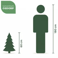 Own Tree Norway Spruce tafelmodel kunstkerstboom groen 60cm