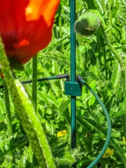 Peacock glasfiber grondpin 75 cm - ø 8 mm