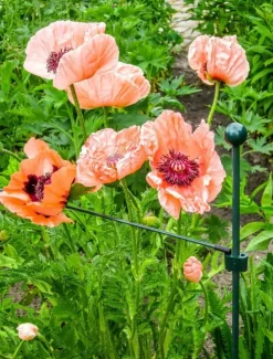 Peacock glasfiber grondpin 100 cm - ø 8 mm