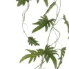 Philodendron xanadu hangend groen