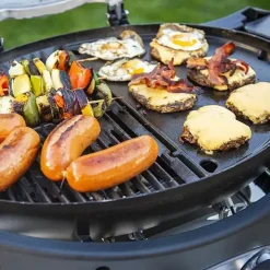 Pit Boss Grills Sportsman 2 (portable) - griddle