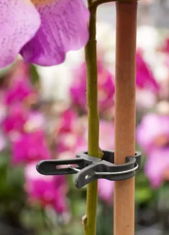 Plantenclip d35mm 5st