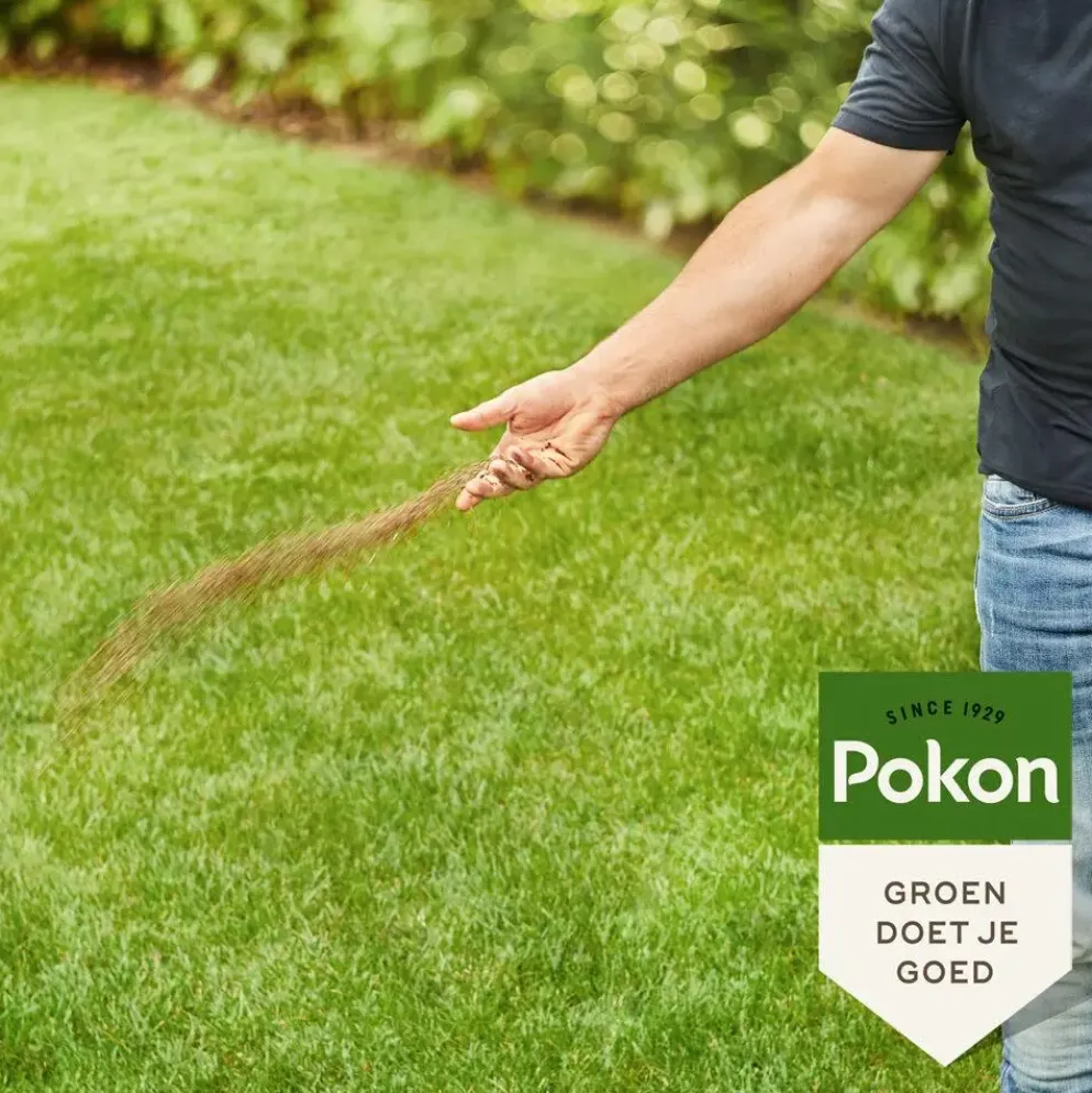 Pokon Bio Gazonmest 1kg voor 15m²