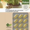 Pokon Bio Plantkuur Bladinsectgevoelige Planten Capsules 12 stuks