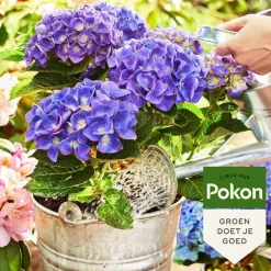 Pokon Bio Potgrond Hortensia 30L
