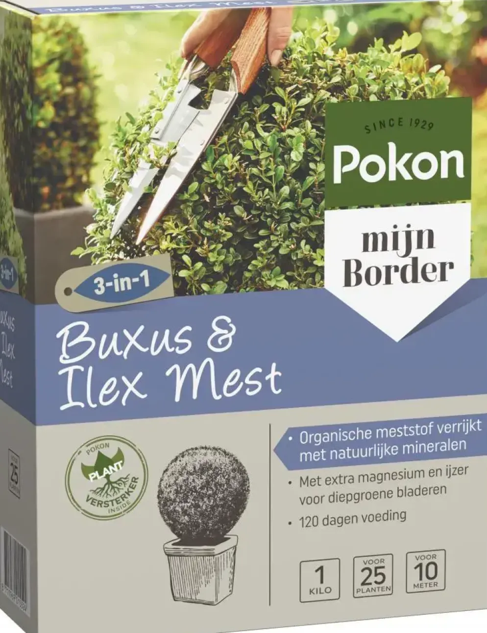 Pokon Buxus & Ilex Mest 1kg
