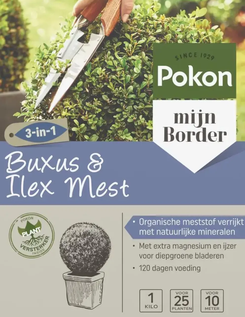 Pokon Buxus & Ilex Mest 1kg