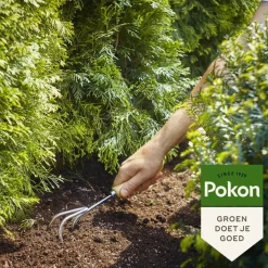 Pokon Conifeer & Taxus Mest 2,5kg