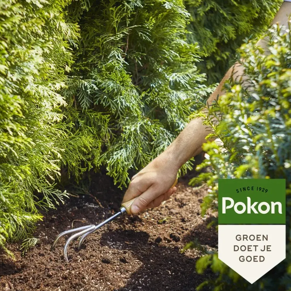 Pokon Conifeer & Taxus Mest 2,5kg