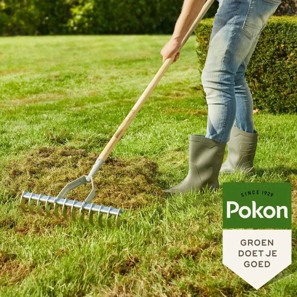 Pokon Graszaad Herstel SOS 500gr
