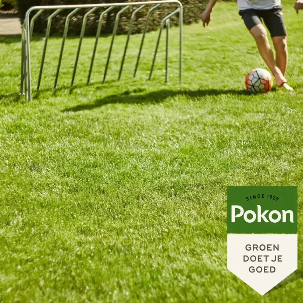 Pokon Graszaad Inzaai 2kg