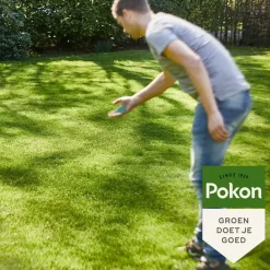 Pokon Graszaad Schaduw 500gr
