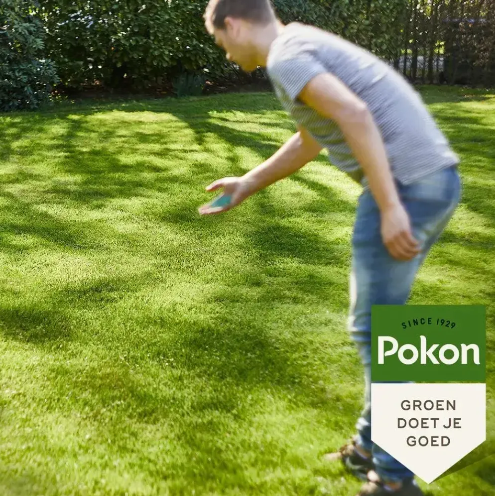 Pokon Graszaad Schaduw 500gr