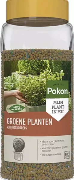 Pokon Groene Planten Voedingskorrels 800g