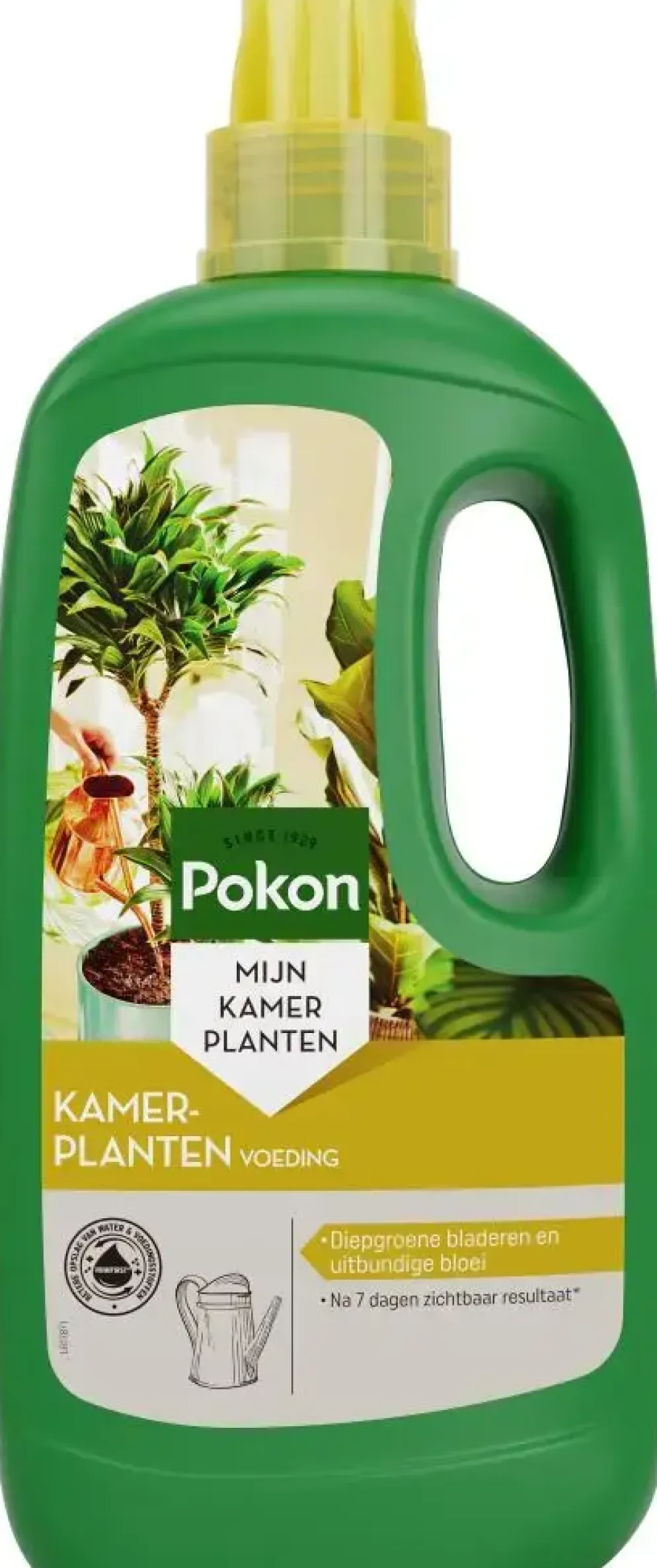Pokon Kamerplanten Voeding 1l