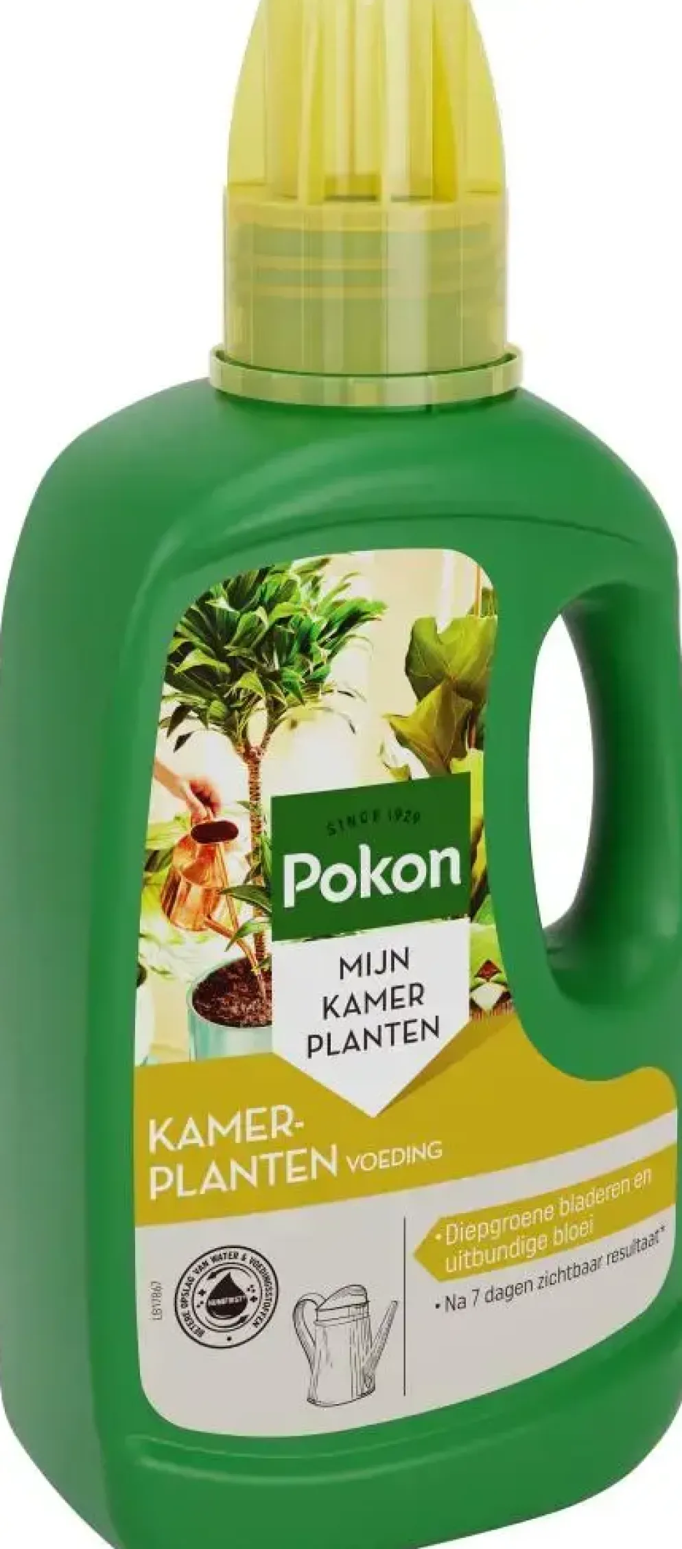 Pokon Kamerplanten Voeding 500ml
