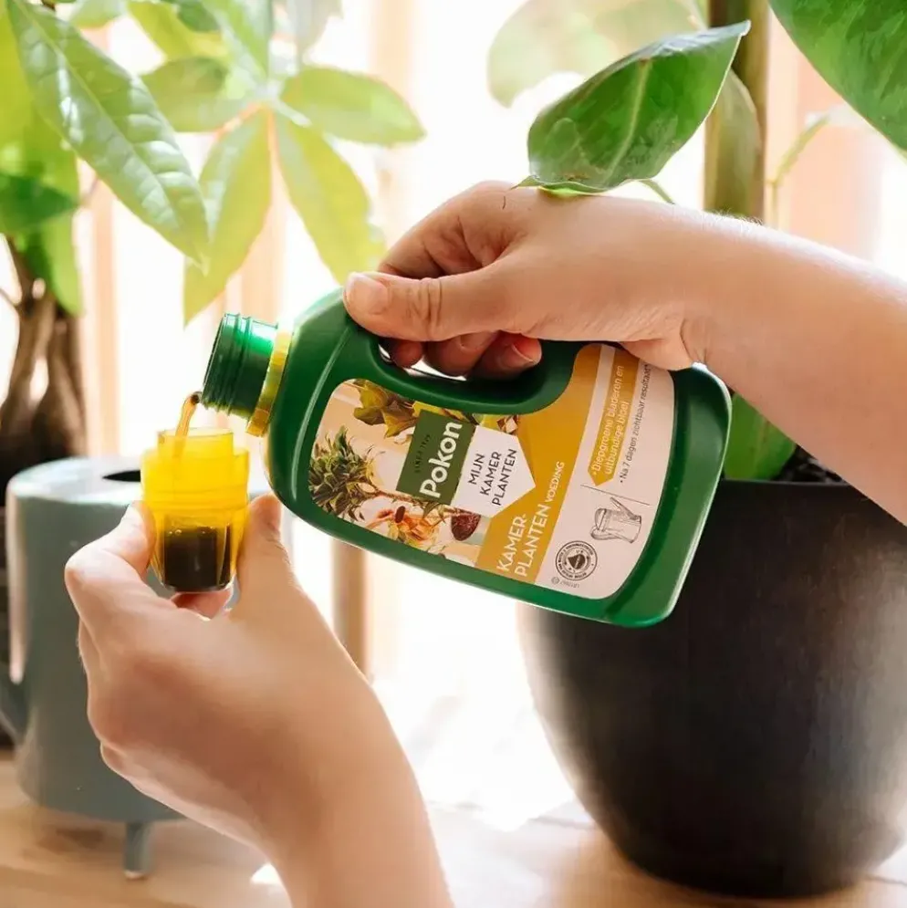 Pokon Kamerplanten Voeding 500ml