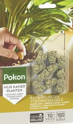 Pokon Kamerplanten Voedingskegels 10 stuks