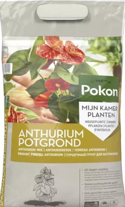 Pokon Potgrond Anthurium 5L