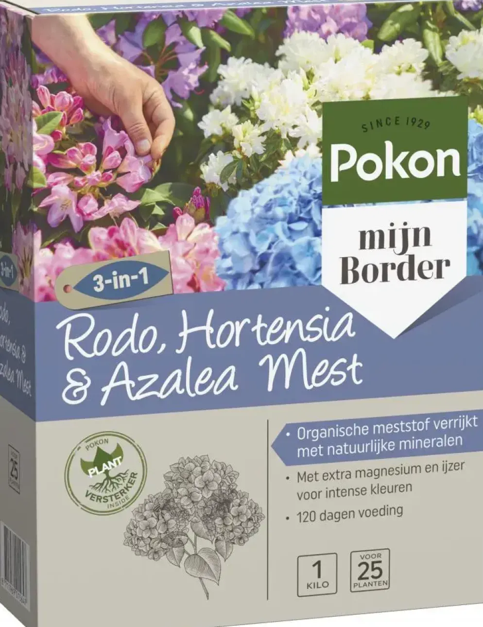 Pokon Rhododendron, Hortensia & Azalea Mest 1kg