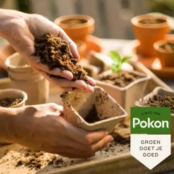 Pokon Stekpoeder 25g