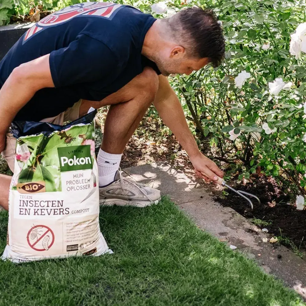 Pokon Tegen Insecten en Kevers Compost 20L