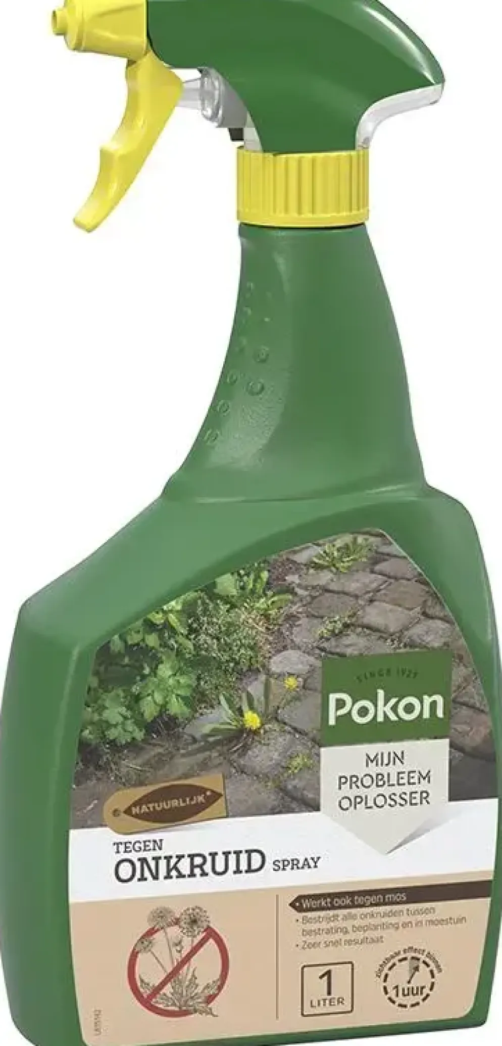 Pokon Tegen Onkruid Spray 1L