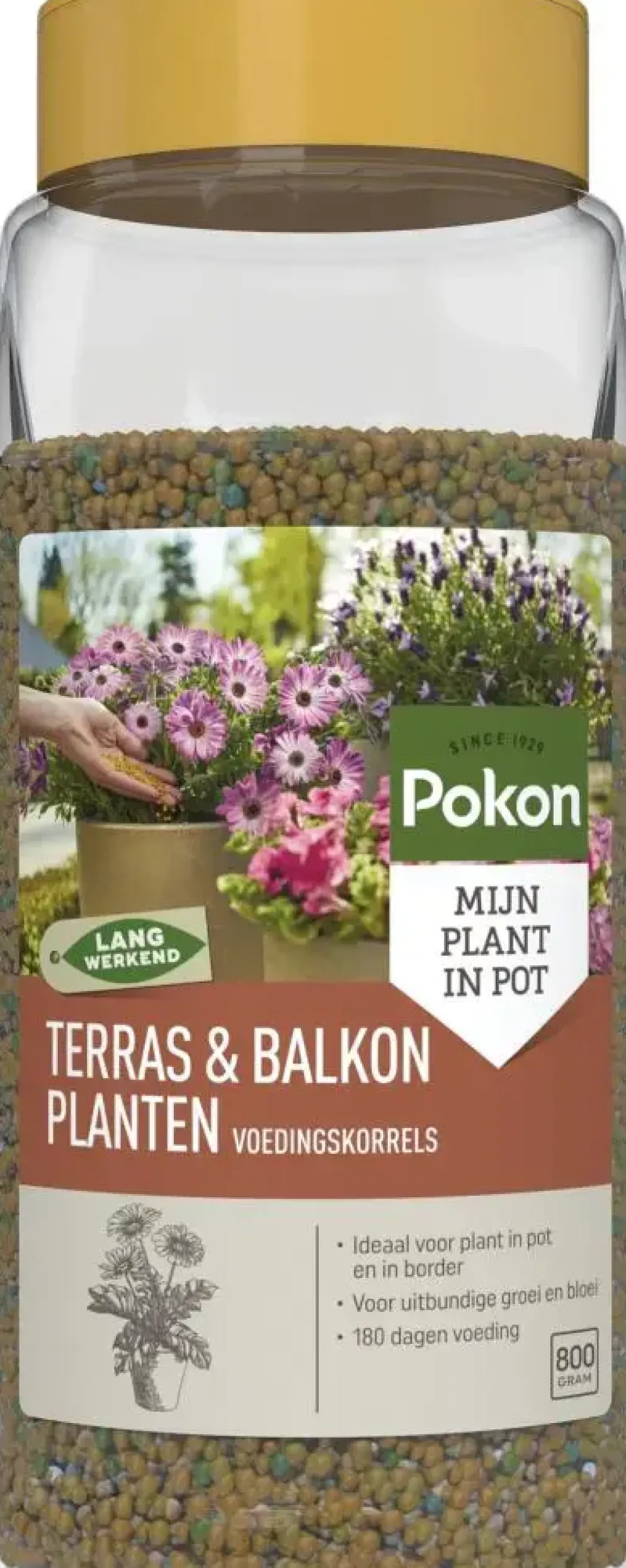 Pokon Terras & Balkon Planten Voedingskorrels 800g