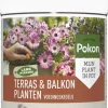 Pokon Terras & Balkon Planten Voedingskegels 40 stuks