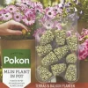 Pokon Terras & Balkon Planten Voedingskegels 10 stuks