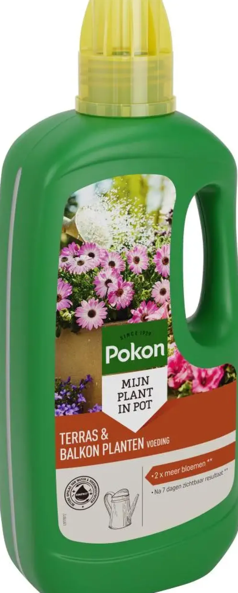 Pokon Terras & Balkon Planten Voeding – Voor Diepgroene Bladeren en Uitbundige Bloei
