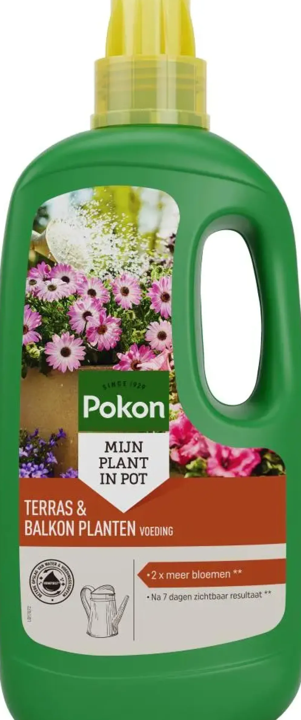 Pokon Terras & Balkon Planten Voeding – Voor Diepgroene Bladeren en Uitbundige Bloei