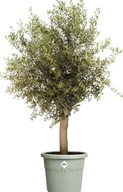 Pot algarve cilindro 40cm tijmgroen