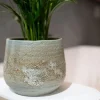 Pot Jelmer Mint Ø15x12 cm