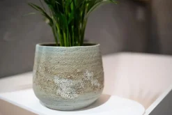 Pot Jelmer Mint Ø15x12 cm