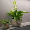 Pot Jelmer Ø12x11 cm Mint